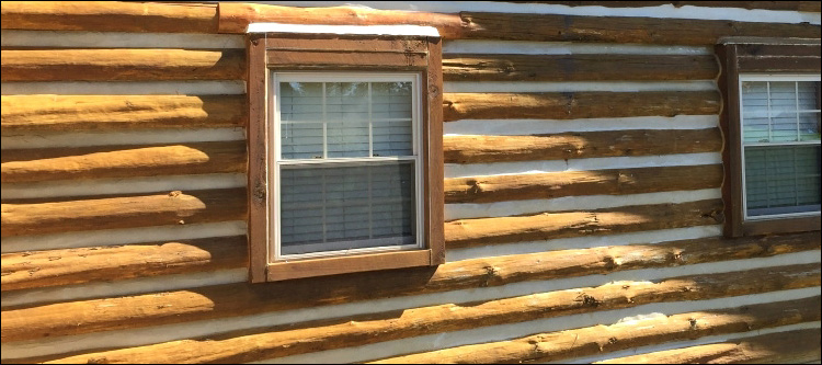 Log Home Whole Log Replacement  Pike County, Georgia