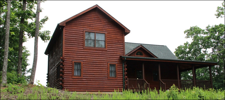 Professional Log Home Borate Application  Pike County, Georgia